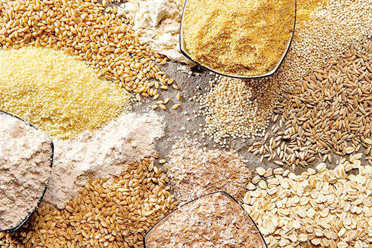 واردات نهاده های دامی